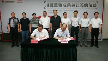 【四川農村日(ri)報】1000萬元買斷(duan)“川藏黑豬”開髮(fa)經(jing)營(ying)權