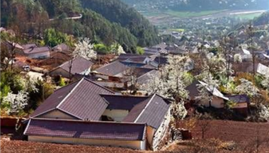 讓日(ri)子(zi)越過(guo)越紅(hong)火：一(yi)名(míng)彜族漢子(zi)的(de)緻富(fu)“路”