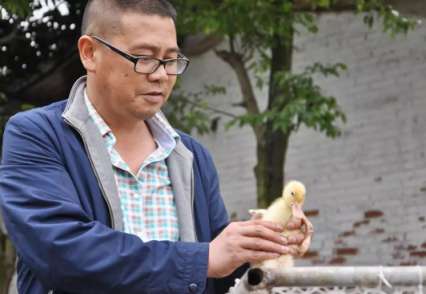 小(xiǎo)苗定製(zhi)上孵打開緻富(fu)之(zhi)們(men)